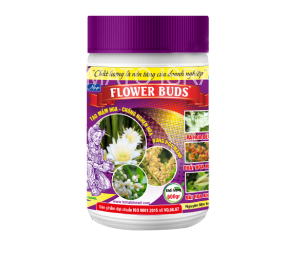 FLOWER BUDS (600g)