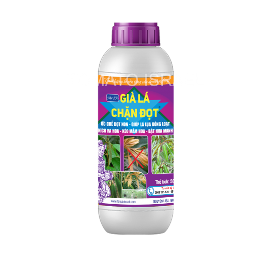 GIÀ LÁ CHẶN ĐỌT (500ml)