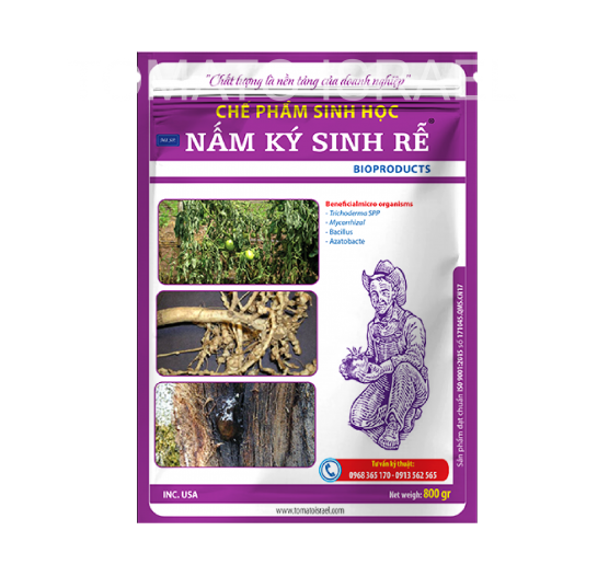 NẤM KÝ SINH RỄ (800g)