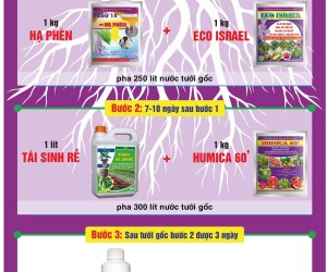 GIẢI PHÁP-GIÃM MẶN-HẠ PHÈN-KÍCH RỄ