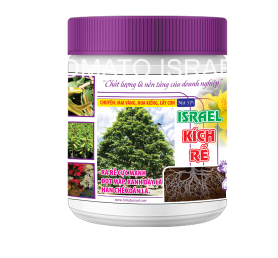 ISRAEL KÍCH RỄ (500g)
